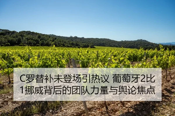 C罗替补未登场引热议 葡萄牙2比1挪威背后的团队力量与舆论焦点